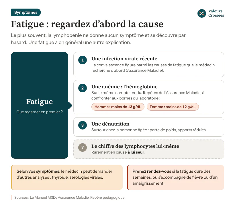 Lymphocytes bas et fatigue : où chercher la cause Schéma : une fatigue avec des lymphocytes bas s’explique plutôt par la cause, infection virale récente, anémie (hémoglobine sous 13 g/dL chez l’homme, 12 g/dL chez la femme) ou dénutrition, que par le chiffre lui-même.