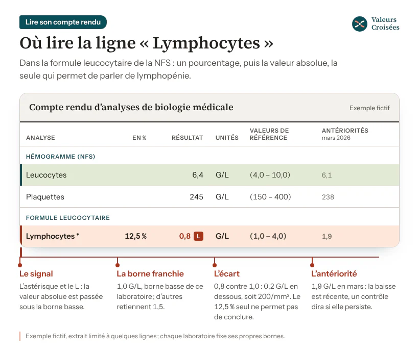Lymphocytes bas sur un compte rendu de NFS (exemple fictif) Extrait fictif de compte rendu de NFS : leucocytes à 6,4 G/L, normaux ; lymphocytes à 12,5 % et 0,8 G/L, signalés d’un astérisque et d’un L, pour des valeurs de référence de 1,0 à 4,0 G/L, contre 1,9 G/L au bilan précédent.