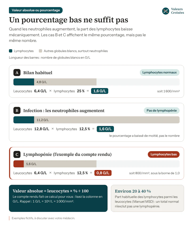 Lymphocytes : valeur absolue ou pourcentage, le calcul Trois calculs fictifs : 6,4 G/L de leucocytes à 25 % donnent 1,6 G/L de lymphocytes ; pendant une infection, 12,8 G/L à 12,5 % donnent toujours 1,6 G/L ; 6,4 G/L à 12,5 % donnent 0,8 G/L, une lymphopénie.
