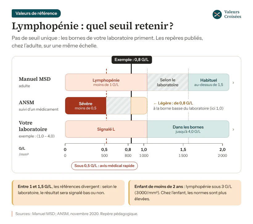 Lymphopénie : les seuils en G/L et en /mm³ Échelle de 0 à 2 G/L : selon le Manuel MSD, lymphopénie sous 1 G/L et nombre habituel au-dessus de 1,5 G/L chez l’adulte ; selon l’ANSM, lymphopénie sévère sous 0,5 G/L et légère de 0,8 G/L à la borne basse ; exemple à 0,8 G/L.