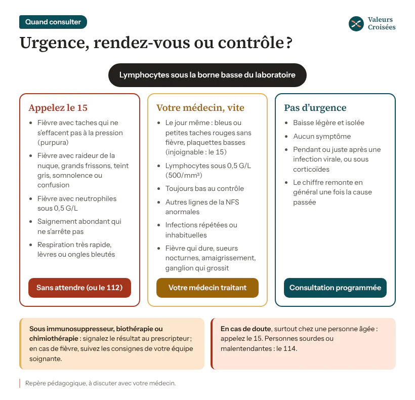 Lymphocytes bas : quand consulter ? Arbre de décision : le 15 si fièvre avec purpura, infection grave, fièvre et neutrophiles sous 0,5 G/L, saignement abondant ou détresse respiratoire ; le médecin le jour même pour des bleus sans fièvre, vite sous 0,5 G/L ou si la baisse persiste ; sinon, consultation programmée.
