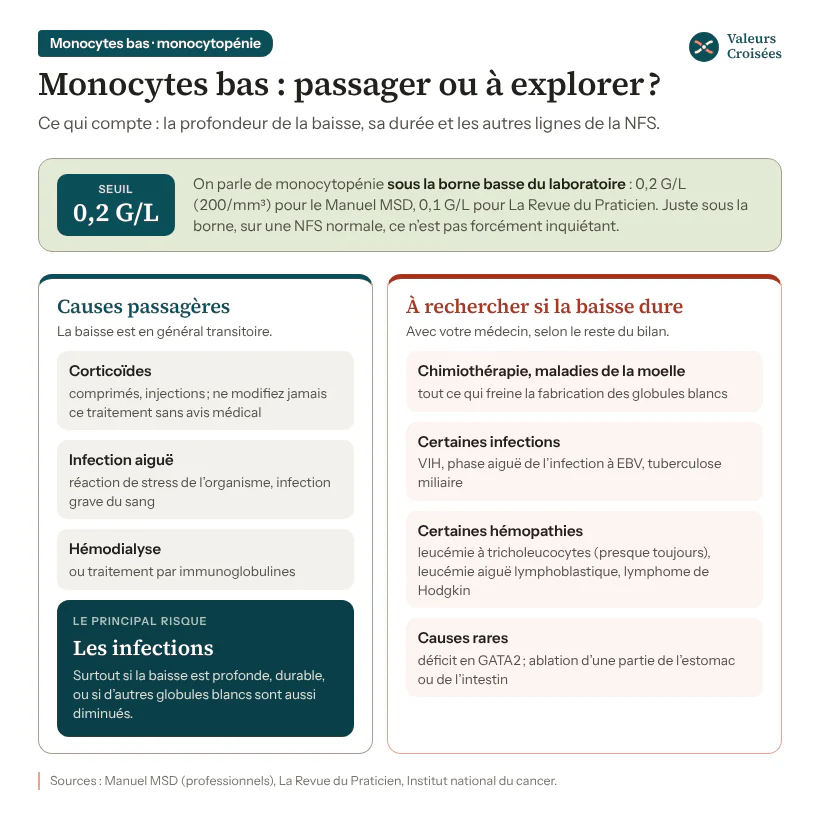 Monocytes bas (monocytopénie) : causes passagères et causes à rechercher Infographie des monocytes bas : monocytopénie sous 0,2 G/L selon le Manuel MSD ; causes passagères (corticoïdes, infection aiguë, hémodialyse) et causes à rechercher si la baisse dure (chimiothérapie, VIH, leucémie à tricholeucocytes, déficit en GATA2, chirurgie digestive).