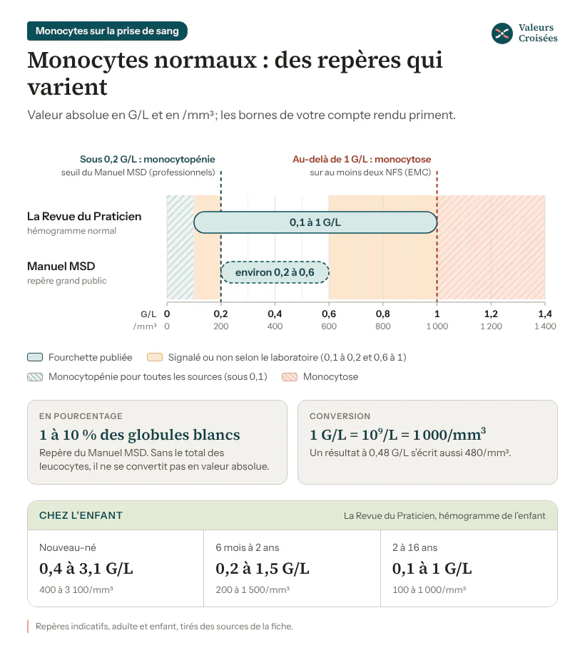Monocytes : valeurs normales en G/L chez l’adulte et l’enfant, selon les sources Graphique des valeurs normales des monocytes chez l’adulte : 0,1 à 1 G/L selon La Revue du Praticien, environ 0,2 à 0,6 G/L selon le Manuel MSD ; monocytopénie sous 0,2 G/L (MSD), monocytose au-delà de 1 G/L sur deux NFS. Repères de l’enfant : 0,4 à 3,1, 0,2 à 1,5 et 0,1 à 1 G/L.